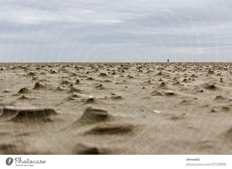 Person einsam am Strand Mensch maskulin feminin androgyn Frau Erwachsene Mann 1 Urelemente Sand Küste Nordsee Langeoog Ostfriesische Inseln Muschel gehen Trauer