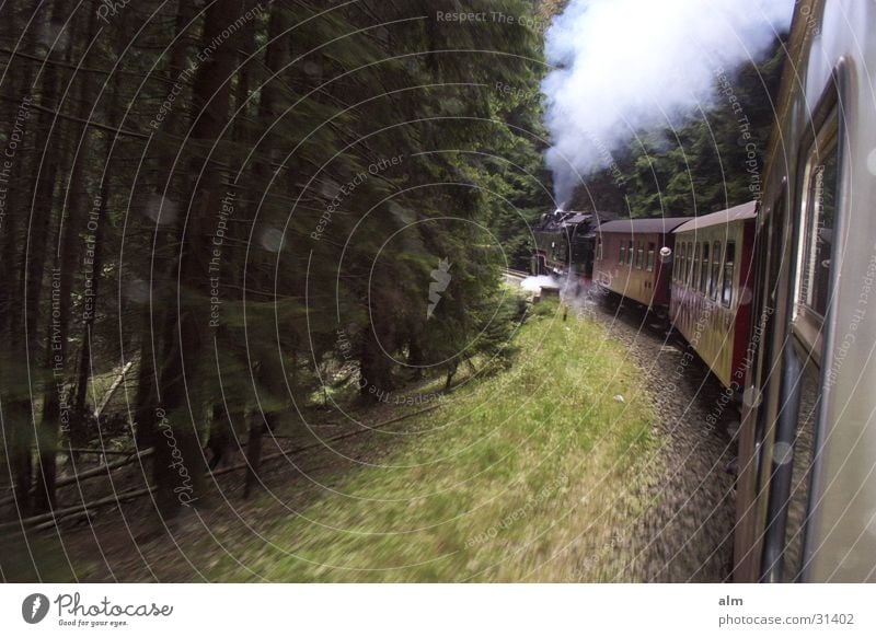 Nostalgie Wald Verkehr Natur Wasserdampf