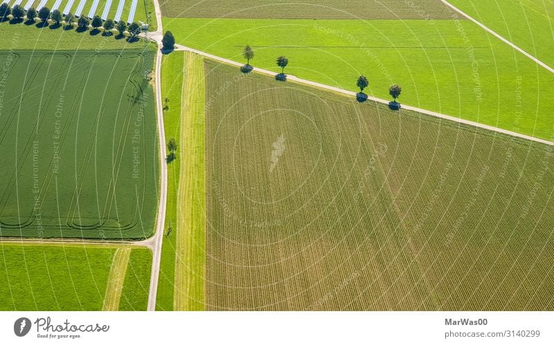 Traktor-Highways Ernährung Freiheit Sonnenenergie Umwelt Natur Landschaft Sommer Schönes Wetter Baum Gras Feld Straße Wege & Pfade fliegen Wachstum natürlich