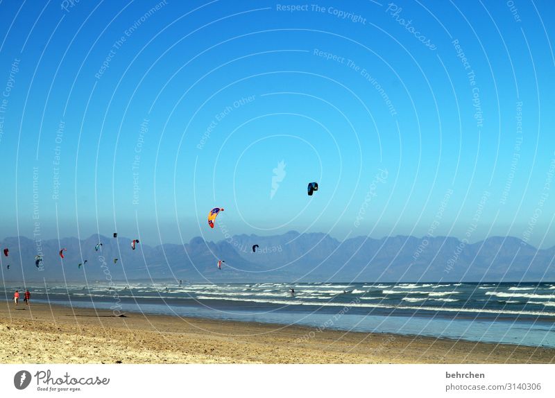 leichtigkeit | abgehoben Kontrast Licht Tag Außenaufnahme Farbfoto Kapstadt Sport fliegen Fernweh wild Surfen Muizenberg Beach Südafrika blau fantastisch