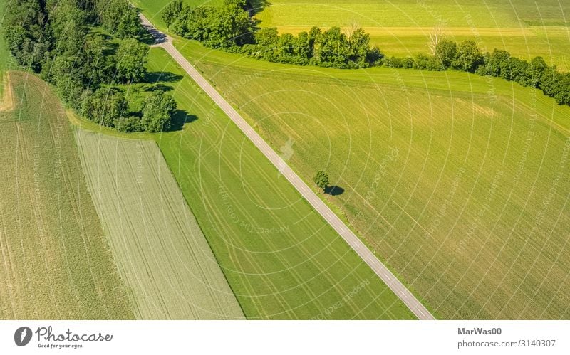 Into the green Landwirtschaft Forstwirtschaft Umwelt Natur Landschaft Pflanze Erde Sommer Schönes Wetter Baum Gras Feld Verkehrswege Straße fliegen ästhetisch