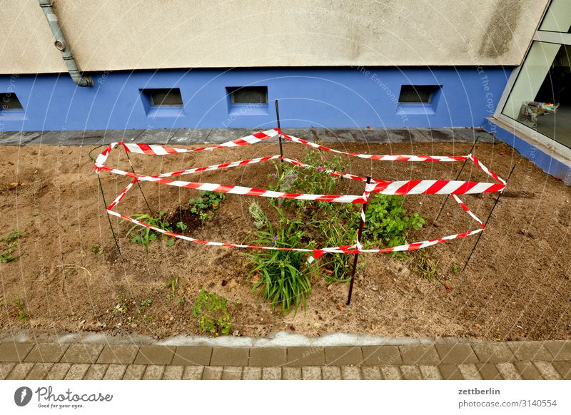 Naturreservat Garten Blume Pflanze Beet Vorgarten anpflanzung Umweltschutz Haus Stadthaus Neubau grün Berlin Vorstadt Zaun eingezäunt umfrieden flaterband