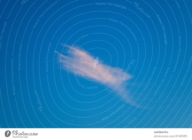 Kleine Wolke Wolken Himmel Himmel (Jenseits) Abenddämmerung rosa Strukturen & Formen Sommer Jahreszeiten Dämmerung Feierabend Wetter Meteorologie Cirrus