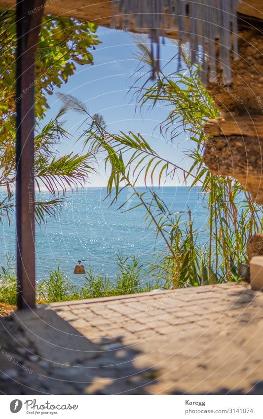 blue sea in beautiful weather Erholung Ferien & Urlaub & Reisen Sommer Strand Umwelt Natur Landschaft Sand Wasser Himmel Wolkenloser Himmel Horizont Pflanze