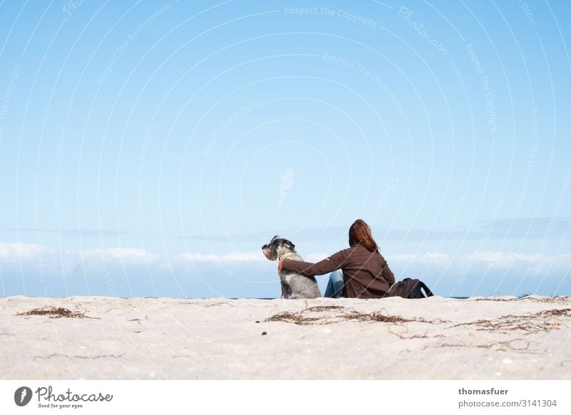 Frau mit Hund am Strand in die Ferne schauend Ferien & Urlaub & Reisen Ausflug Sommer Sommerurlaub Meer Mensch feminin Erwachsene 1 Landschaft