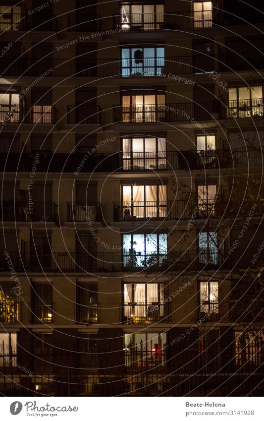 Quarantäne: wir bleiben zu Hause Einblick Hochhaus Leben Nacht Licht Zuhause Isolation bewohnt belebt Gemütlichkeit Schutz Gesundheit Familienleben Heimat