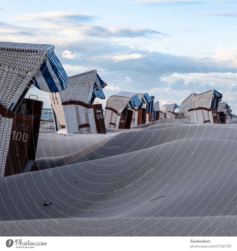 Strandkorb-Ballett Sommerurlaub Meer Tourismus Wolken Küste Ostsee Darß Sand genießen natürlich blau braun grau Fröhlichkeit Zufriedenheit Leben Erholung