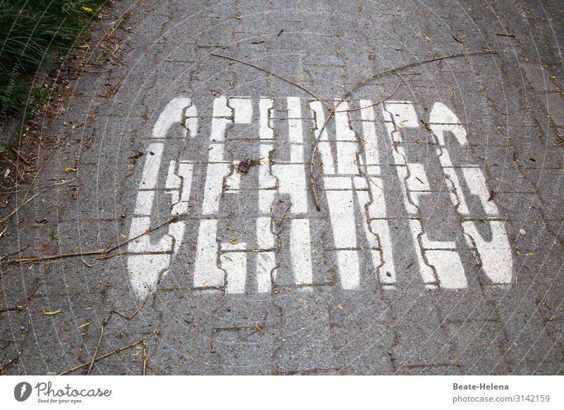 Gespflasterer Weg mit Beschriftung: Funktionszuweisung für Fußgänger und/oder Appell von Radfahrern an Fußgänger! Straße gepflastert Gehweg Geh weg! Warnruf