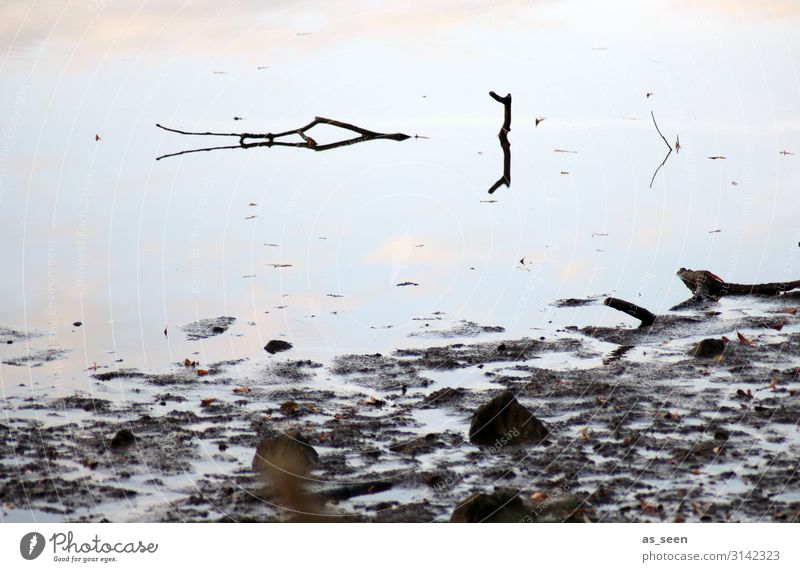 Am See Ausflug Umwelt Natur Landschaft Pflanze Wasser Herbst Winter Klima Klimawandel Seeufer Flussufer Strand Bucht ästhetisch eckig Flüssigkeit natürlich blau