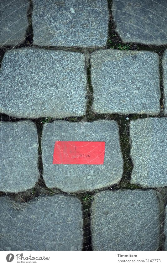 Pflasterstein mit roter Markierung Pflastersteine Platz Stein grau Strukturen & Formen Kopfsteinpflaster Bodenbelag Fugen Aufkleber Menschenleer