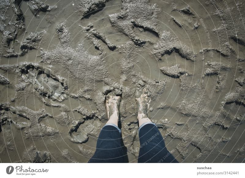 schön matschig Schlamm Schlick dreckig Meer Wattenmeer Strand nass Nordsee Ostsee Heilerde Wellness Gesundheit Kur Ferien & Urlaub & Reisen Barfuß