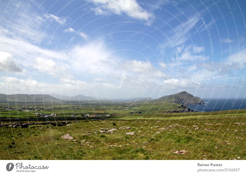 Satte Farben an der irischen Küste Natur Himmel Nordirland Menschenleer blau grün Einsamkeit Freiheit Dingle Way Farbfoto Außenaufnahme Textfreiraum oben