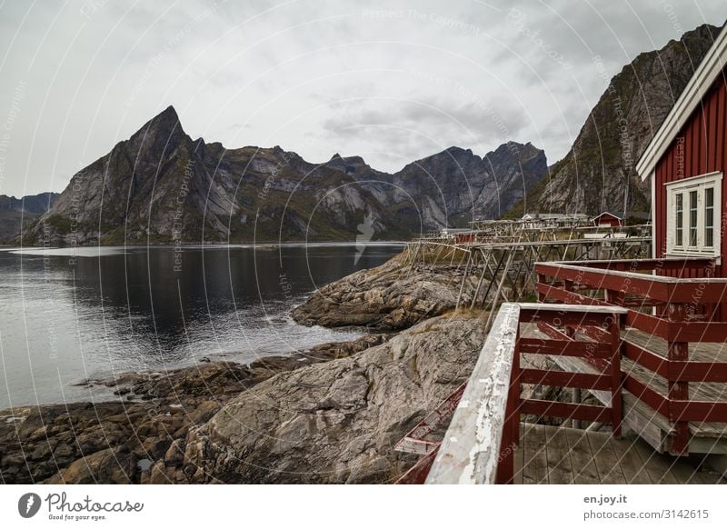 Felsen vor der Hütte Ferien & Urlaub & Reisen Tourismus Ausflug Natur Landschaft Himmel Herbst Berge u. Gebirge Küste Fjord Insel Reinefjorden Hamnöy Norwegen