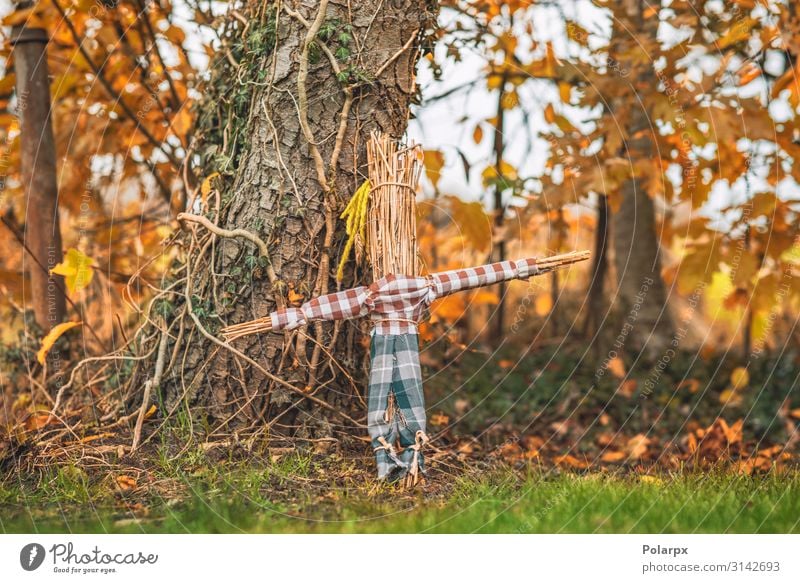 Bäuerliche Vogelscheuche in einem Garten Freude Leben Halloween Kindheit Landschaft Pflanze Herbst Park Spielzeug Puppe Holz alt einfach grün rot Schutz Angst