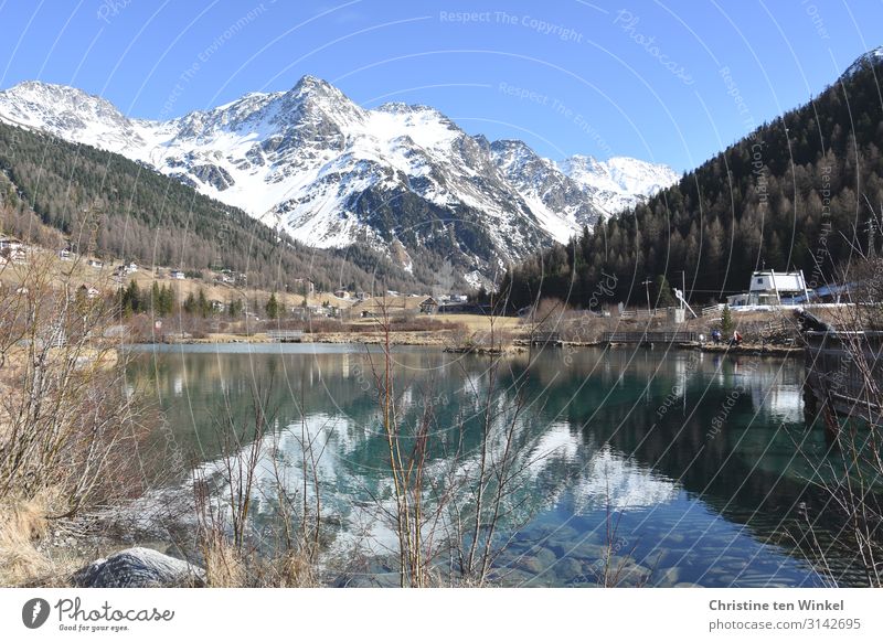 Dorfteich in Sulden am Ortler Landschaft Wasser Wolkenloser Himmel Frühling Winter Schönes Wetter Alpen Berge u. Gebirge Schneebedeckte Gipfel Teich Italien