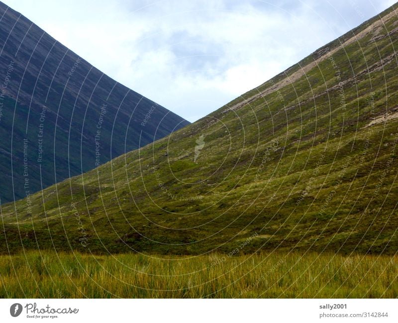 Berg und Tal... Schottland Highlands grün kahl Einsamkeit Landschaft Berge u. Gebirge Großbritannien Menschenleer Hügel Außenaufnahme wandern ruhig Ruhe