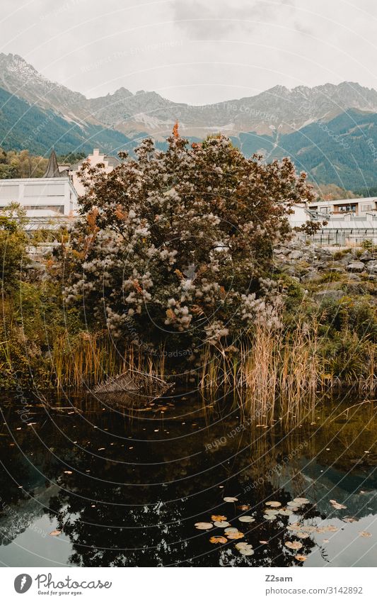 Innsbruck Freizeit & Hobby Sightseeing wandern Umwelt Natur Landschaft Herbst Sträucher Alpen Berge u. Gebirge Gipfel See Stadt nachhaltig natürlich blau grün