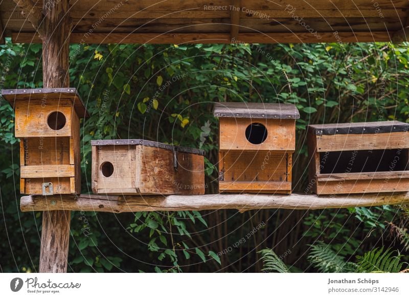 Vogelhäuser in einer Reihe Außenaufnahme Jahreszeit Outdoor herbst natur Natur Herbst Farbfoto Umwelt Nahaufnahme braun Vogelhaus Vogelhäuschen Holz