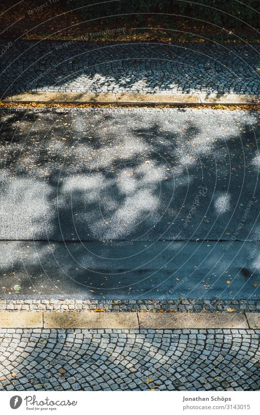 Straße mit Herbstlaub und Schatten Natur gelb grau Jahreszeiten Wege & Pfade Vogelperspektive Fußweg Bordsteinkante minimalistisch Schattenspiel Sonnenlicht