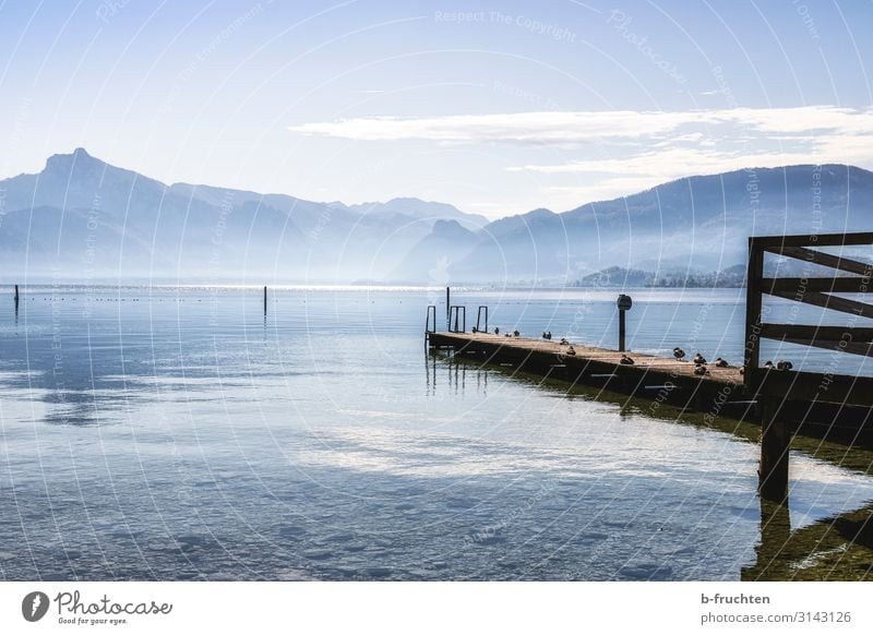 Gebirgssee Sommer Berge u. Gebirge wandern Umwelt Natur Wasser Herbst Nebel Alpen Seeufer genießen schön ruhig Idylle Traunsee Salzkammergut Österreich Steg