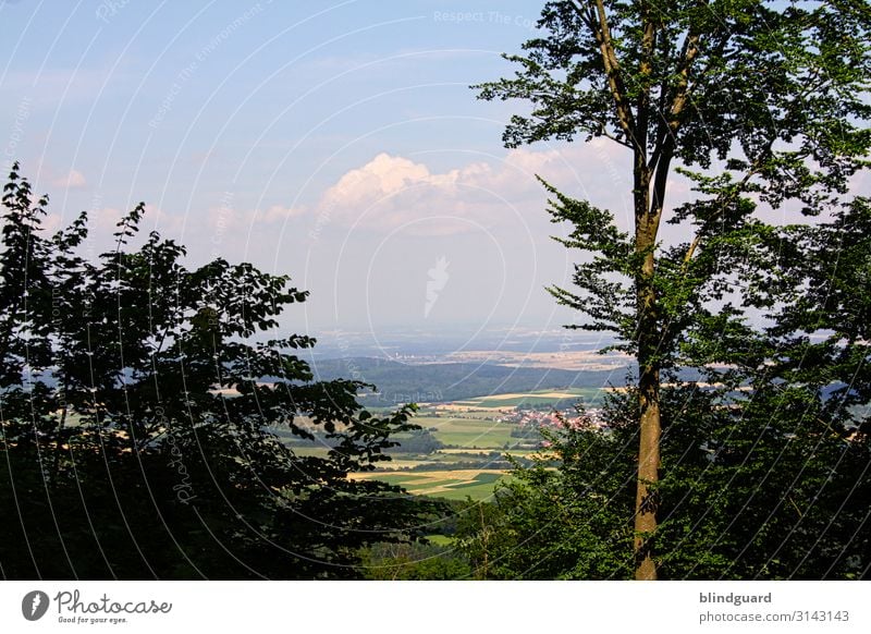 Unendliche Weiten (3) Ferien & Urlaub & Reisen Tourismus Ausflug Abenteuer Ferne Freiheit Umwelt Natur Landschaft Pflanze Himmel Wolken Baum Feld Wald Felsen