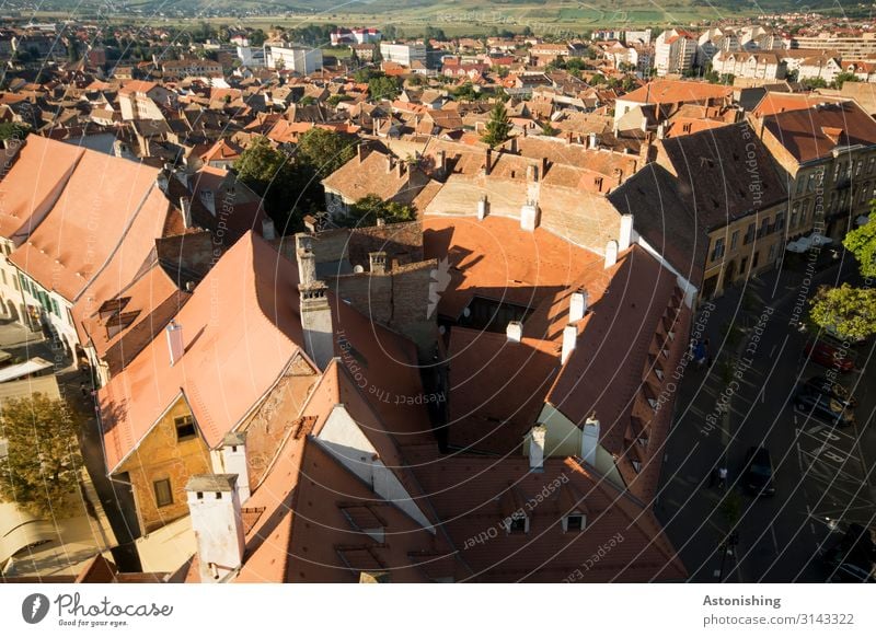 Dächer Sibius Natur Pflanze Baum Hermannstadt Rumänien Stadt Stadtzentrum Haus Platz Dach Dachrinne Schornstein Straße alt historisch grün rot Ferne Aussicht