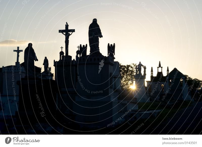 Sunset at Cementerio General with backlight Ferien & Urlaub & Reisen Tourismus Sightseeing Städtereise Sommer Halloween Stadt Kirche gruselig Traurigkeit Tod