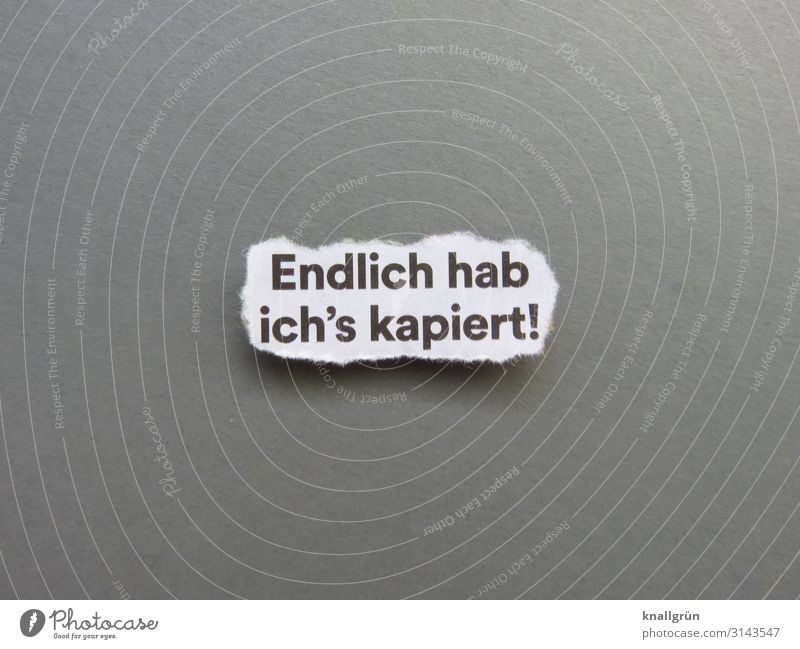 Endlich hab ich‘s kapiert! Schriftzeichen Schilder & Markierungen Kommunizieren klug grau schwarz weiß Gefühle Glück Zufriedenheit Begeisterung Erfolg Ausdauer