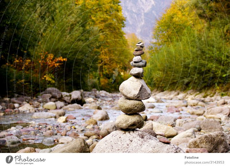 relax Umwelt Natur Landschaft Pflanze Urelemente Erde Wasser Herbst Baum Wald Alpen Berge u. Gebirge Flussufer nass natürlich grau grün Österreich Bach Stein