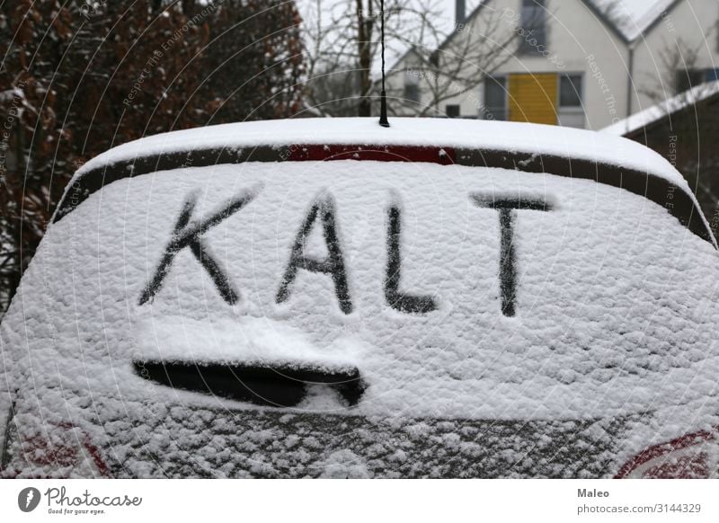 Winter PKW kalt frieren gefroren Frost Deutsch Glas Eis Januar Natur natürlich Jahreszeiten Schnee Schneefall Schneeflocke weiß Autofenster Fensterscheibe