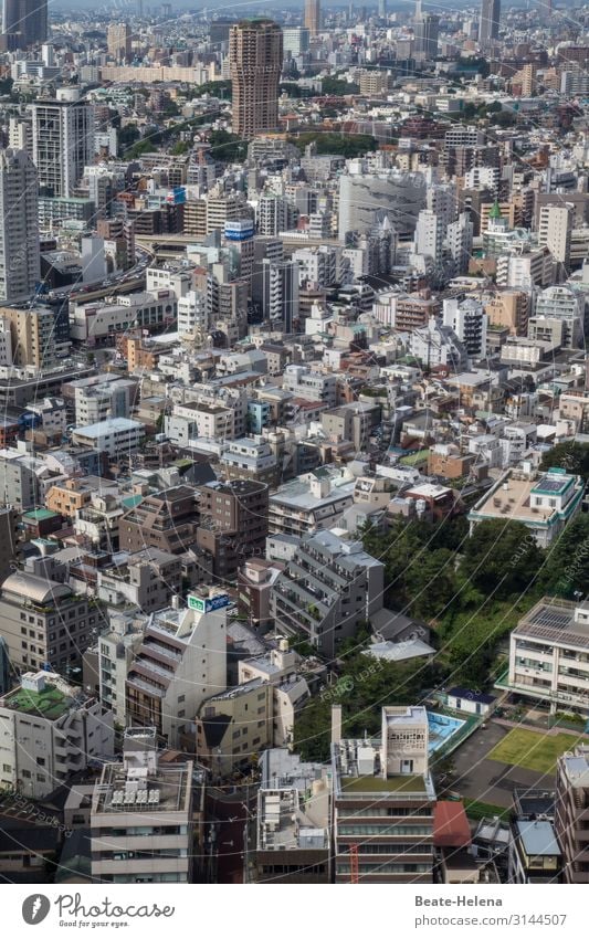 Grünes Tokio Lifestyle Reichtum Freizeit & Hobby Joggen Tourismus Häusliches Leben Fitness Sport-Training Schwimmbad Wirtschaft Industrie Natur Baum Gras Park