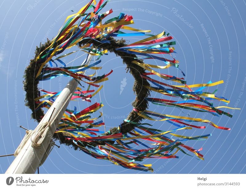 abgehoben | Maibaum mit fliegenden bunten Bändern vor blauem Himmel Feste & Feiern Wolkenloser Himmel Frühling Schönes Wetter Dekoration & Verzierung Holzpfahl