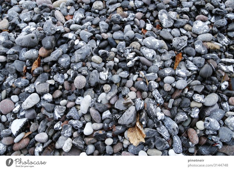 Strandkiesel Umwelt Natur Herbst Küste Ostsee Meer Stein maritim horizontal Gezeiten Grauwert Hintergrundbild grau Strukturen & Formen Kieselsteine Kieselstrand