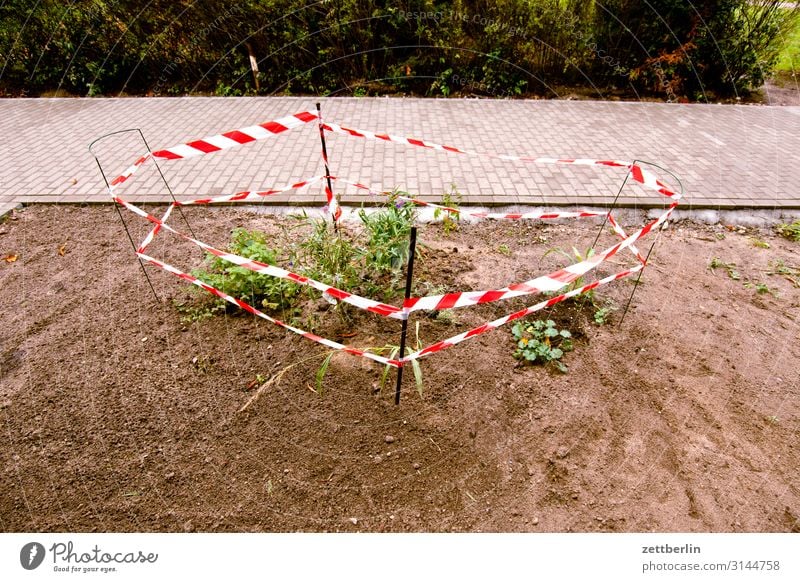 Natur pur Garten Blume Pflanze Beet Vorgarten anpflanzung Umweltschutz Haus Stadthaus Neubau grün Berlin Vorstadt Zaun eingezäunt umfrieden flatterband Grenze