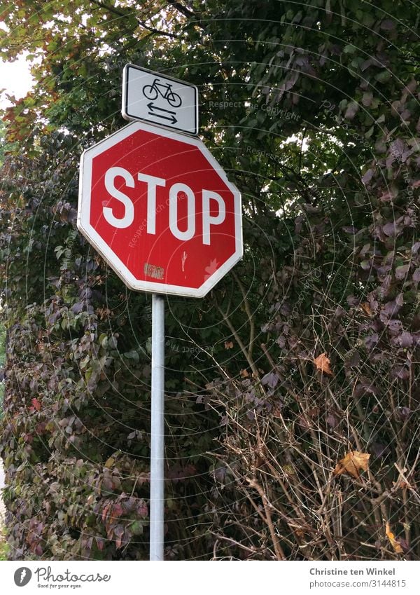 Stoppschild und Verkehrszeichen Radfahrer kreuzen Natur Herbst Sträucher Verkehrsschild authentisch eckig nah oben braun grau grün rot weiß Umwelt Wege & Pfade