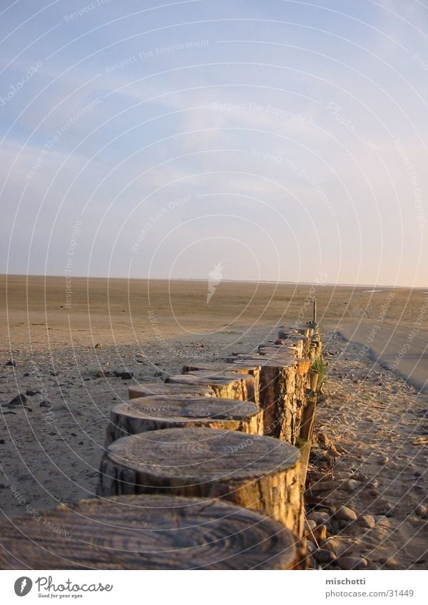 Pfosten Strand Holz Baum Sonnenuntergang Dänemark Himmel Detailaufnahme