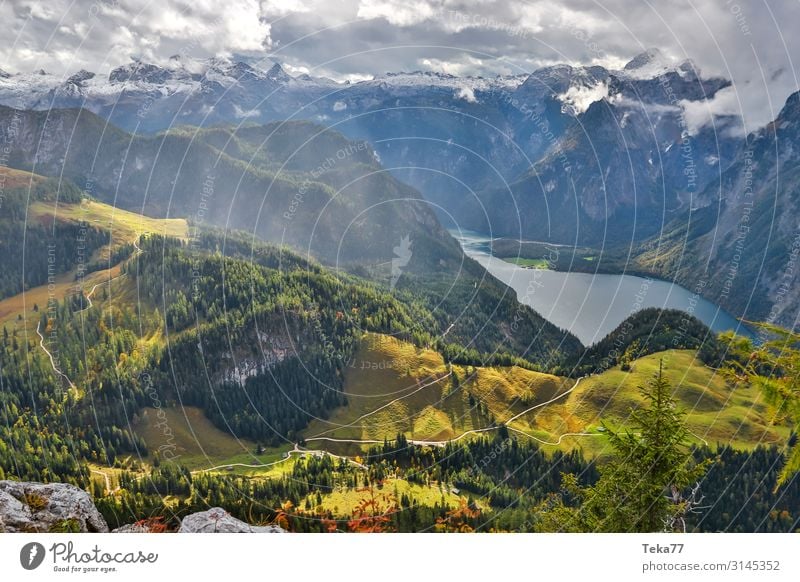 Königssee #4 Umwelt Natur Landschaft Pflanze ästhetisch Berchtesgaden Berchtesgadener Alpen Farbfoto Außenaufnahme Tag