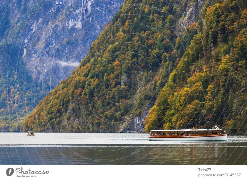 Königssee #2 Natur Landschaft Pflanze ästhetisch Berchtesgaden Farbfoto Außenaufnahme Tag