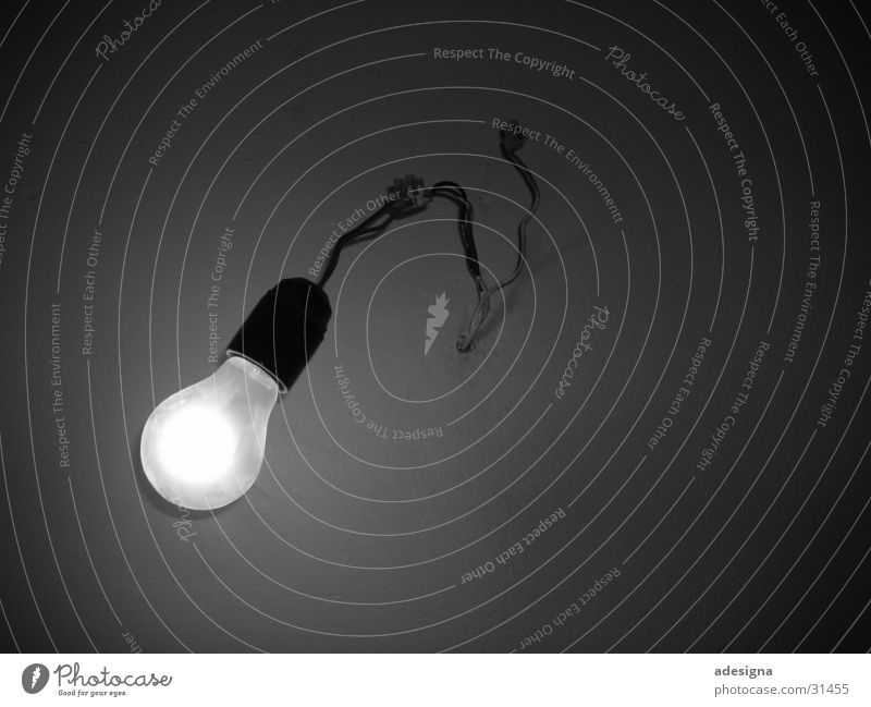 Leuchtfrucht Glühbirne Draht simpel rein Licht dunkel Elektrisches Gerät Technik & Technologie Halterung Schwarzweißfoto einfach hell