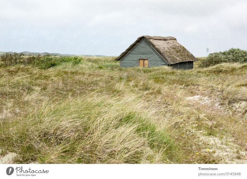 Ruhige Lage Ferien & Urlaub & Reisen Umwelt Natur Landschaft Pflanze Wetter Gras Wiese Dänemark Hütte Wege & Pfade einfach natürlich blau braun grün Gefühle