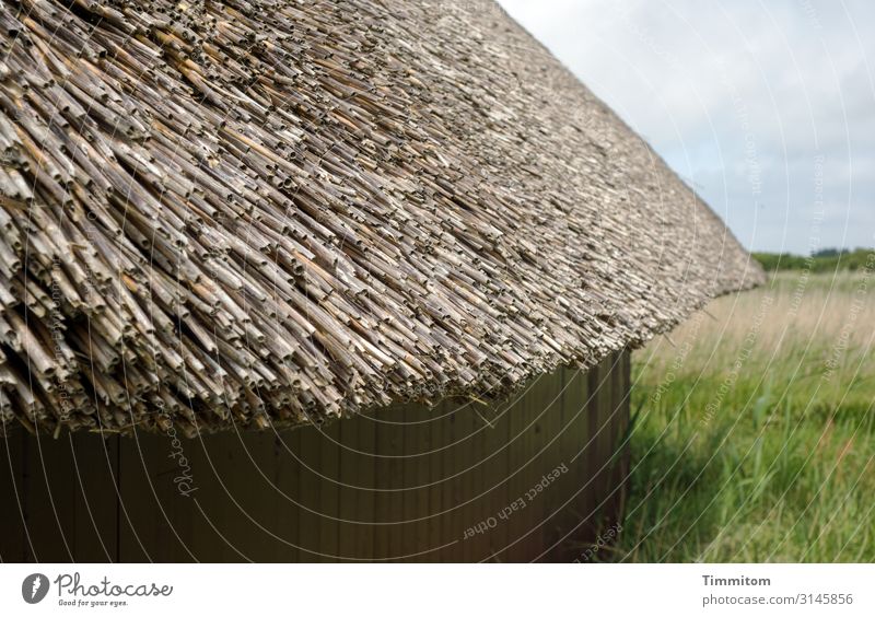 Reetdach Ferien & Urlaub & Reisen Umwelt Natur Landschaft Pflanze Wetter Schönes Wetter Gras Wiese Dänemark Hütte Mauer Wand Dach Holz einfach natürlich blau