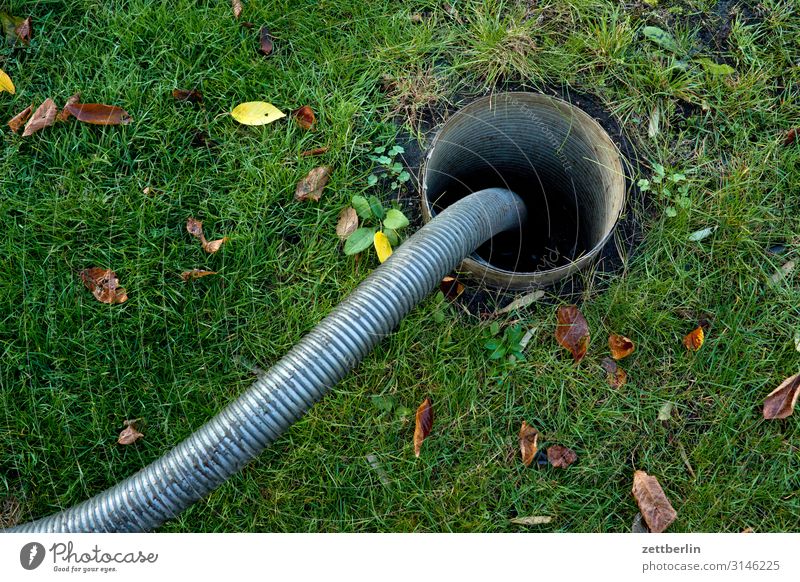 Gülleschlauch Garten Herbst Schrebergarten Kleingartenkolonie Blatt Herbstlaub Menschenleer Natur Oktober Textfreiraum Schlauch entsorgen Jauchegrube Wasser