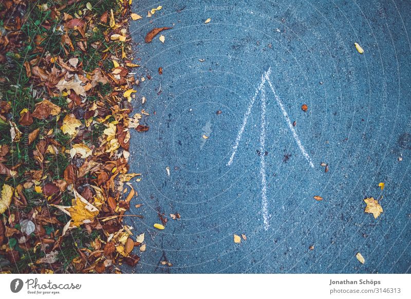 Pfeil auf Asphalt im Herbst ruhig Natur Blatt Wald gelb achtsam Vergänglichkeit Abendsonne Chemnitz Jahreszeiten Oktober herbstlich mehrfarbig orange braun