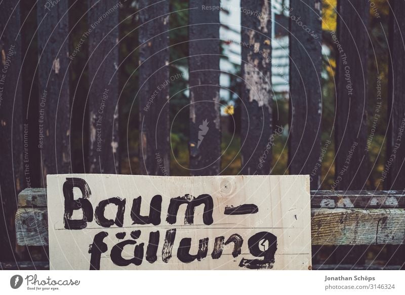 Schild am Zaun mit Warnhinweis Baumfällung Abendsonne Achtsamkeit Außenaufnahme Besinnung Jahreszeit Laub Oktober Outdoor Ruhe Sonnenlicht Spaziergang Tag