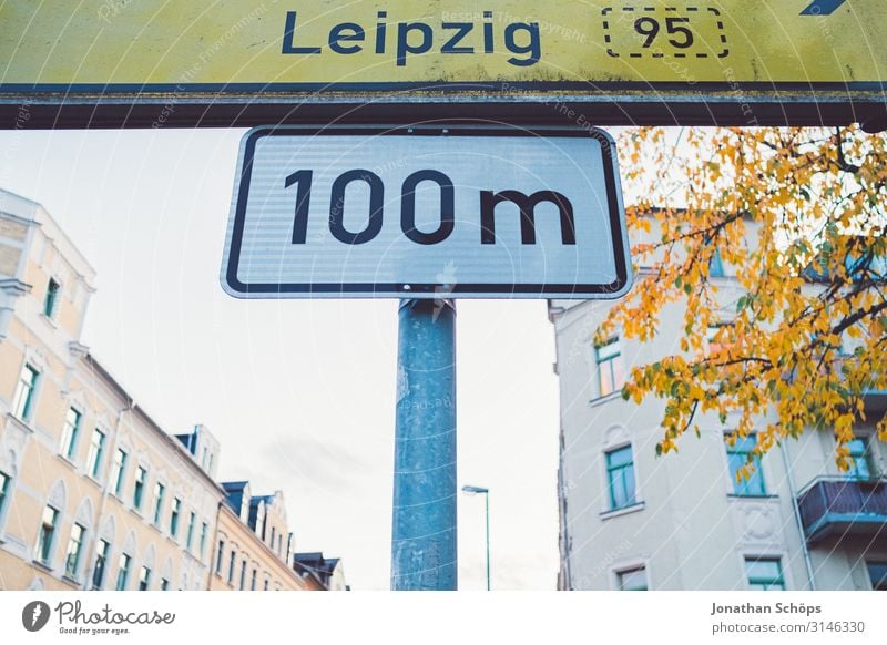 100m nach Leipzig ruhig Natur Herbst Blatt Wald gelb achtsam Vergänglichkeit Abendsonne Chemnitz Jahreszeiten Oktober Spaziergang Tag farbig goldene Stunde