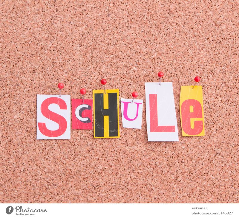 Schule Kindererziehung Bildung Wissenschaften Erwachsenenbildung Schulhof Klassenraum Schriftzeichen Wort Schriftzug Text lernen Farbfoto Gedeckte Farben