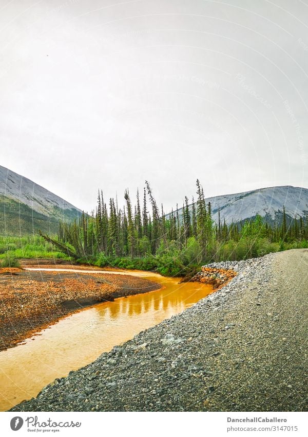 Landschaftsbild eines Flusses entlang einer Schotterstraße Yukon Dempster Highway Hügel Berge u. Gebirge Wald Straße Wildnis Tombstone National Park Schotterweg