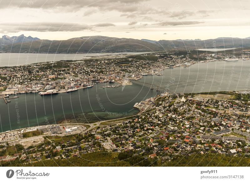 Tromsö (Norwegen) Ferien & Urlaub & Reisen Tourismus Ausflug Abenteuer Ferne Freiheit Sightseeing Städtereise Expedition Natur Landschaft Himmel Wolken Horizont