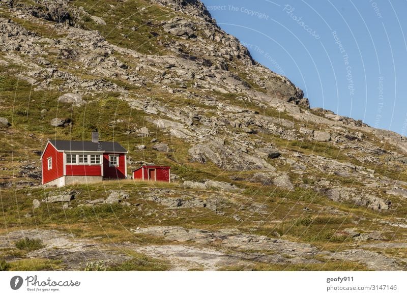 Hoch oben Ferien & Urlaub & Reisen Tourismus Ausflug Abenteuer Ferne Freiheit Expedition Natur Landschaft Himmel Wolkenloser Himmel Horizont Schönes Wetter Gras