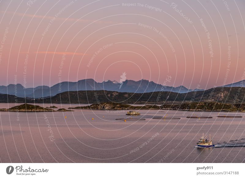 Feierabend Ferien & Urlaub & Reisen Ausflug Abenteuer Ferne Freiheit Kreuzfahrt Expedition Umwelt Natur Landschaft Wasser Himmel Wolkenloser Himmel Horizont